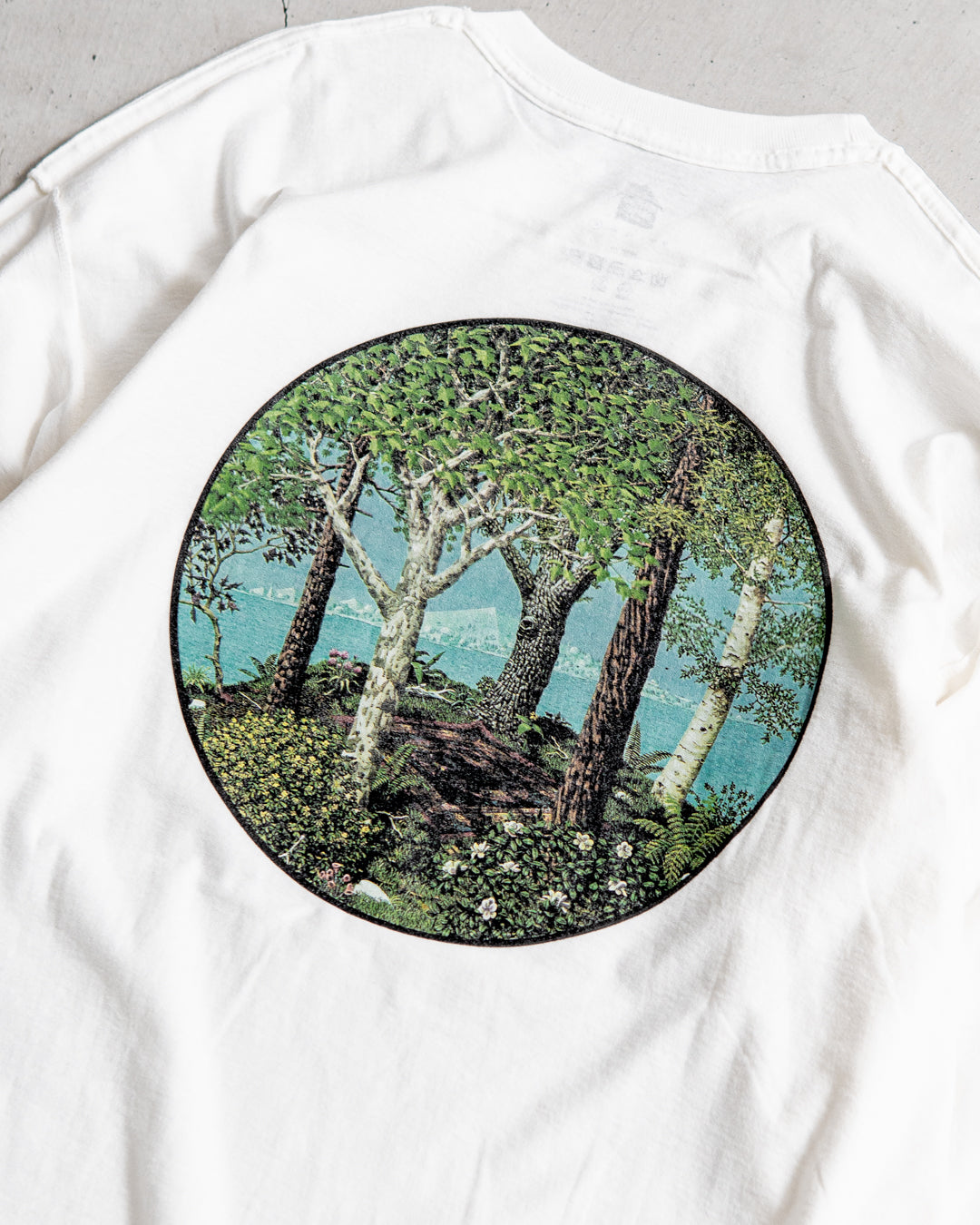 【Special Edition】ISNESS MUSIC QV LONG T