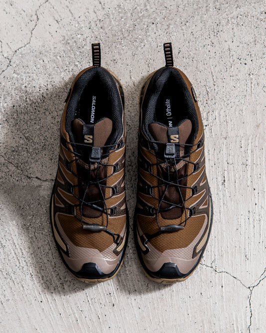 SALOMON XA PRO 3D V9 GORE-TEX