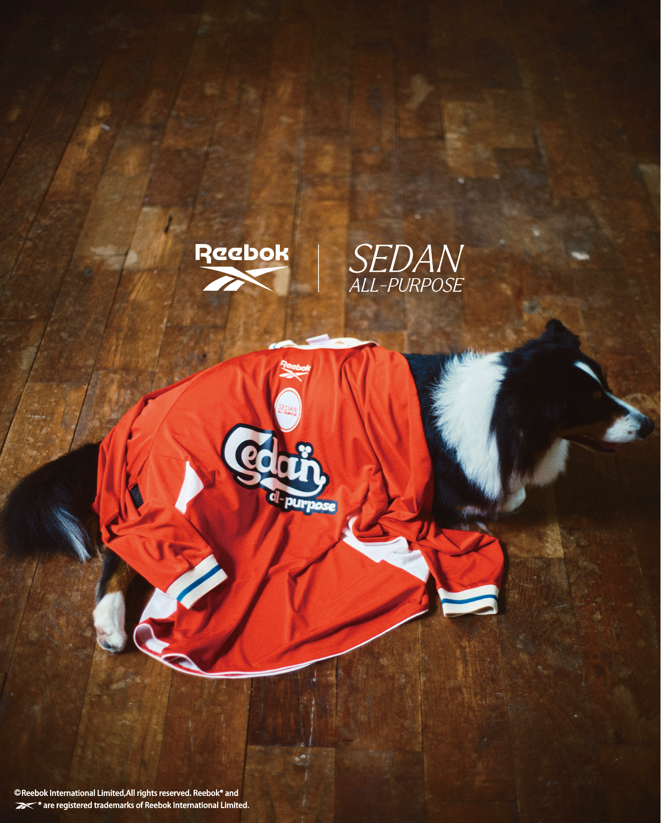 SEDAN ALL-PURPOSE × Reebok / L/S Game Shirt