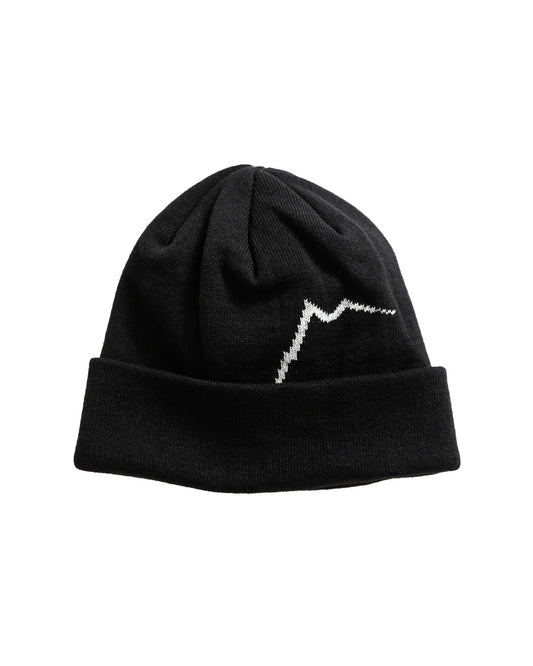 CAYL logo beanie long