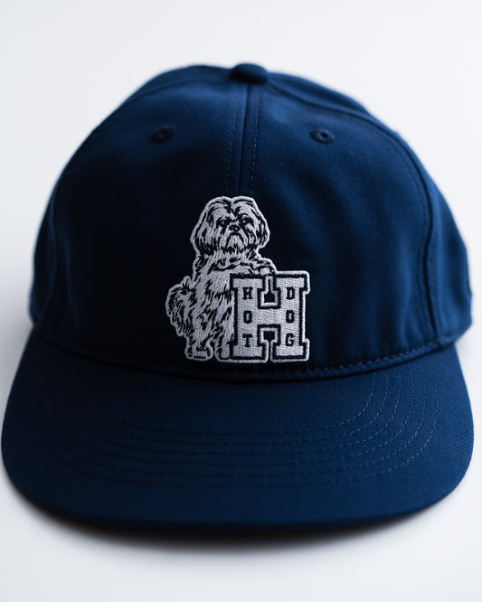 [6.13 sat 12:00 Release] TACOMA FUJI RECORDS HOT DOG VNTG LOGO CAP ‘26 CAP designed by Hiroshi Iguchi