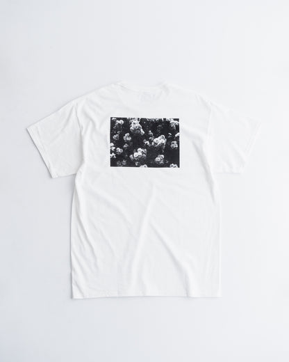 UTP PHOTO TEE DARK FLOWER