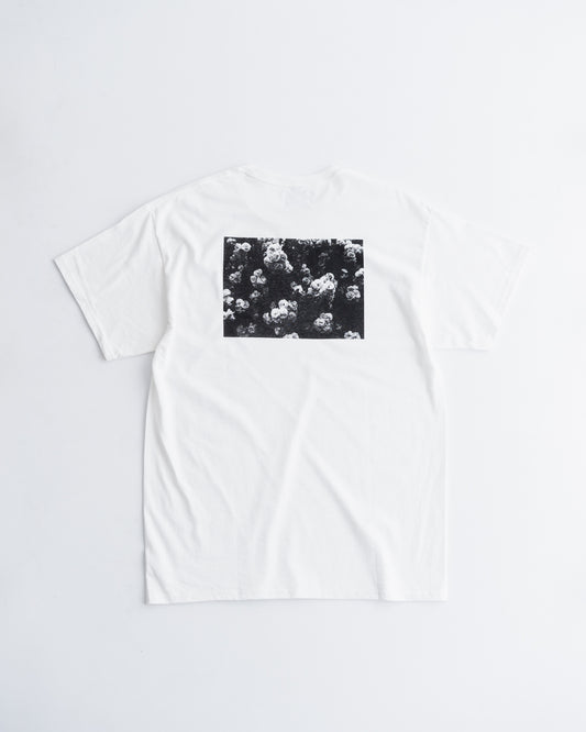 UTP PHOTO TEE DARK FLOWER