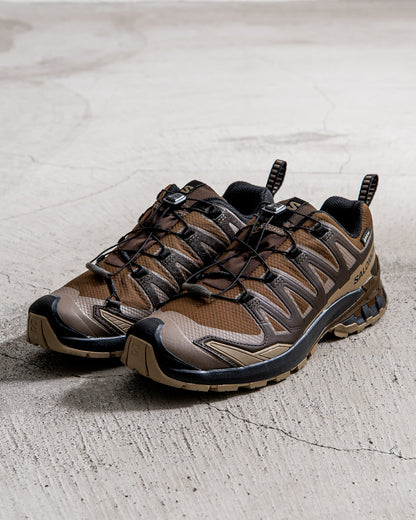 SALOMON XA PRO 3D V9 GORE-TEX