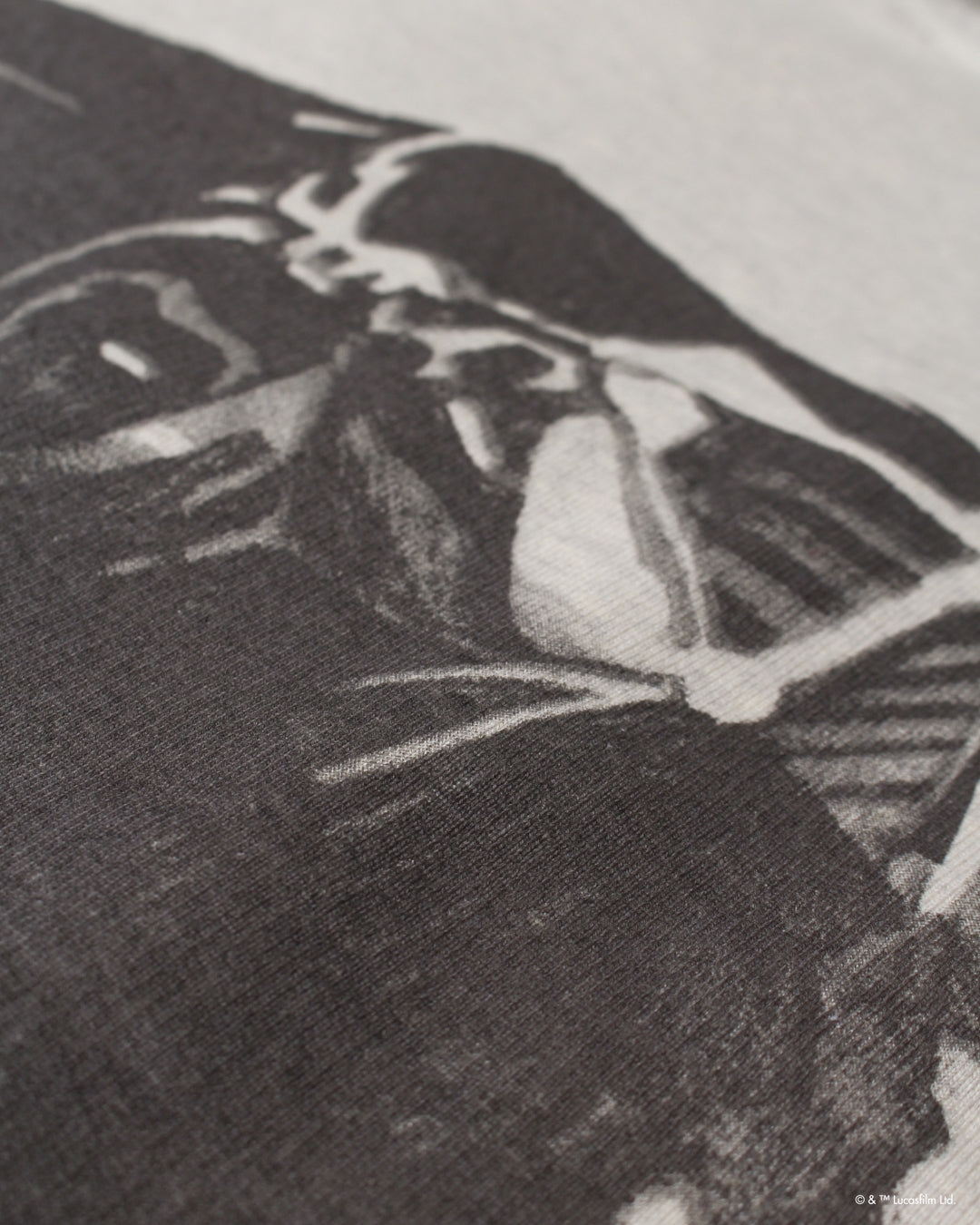 [12.21 sat 11:00 Release] BOWWOW DARTH VADER SWEATSHIRTS