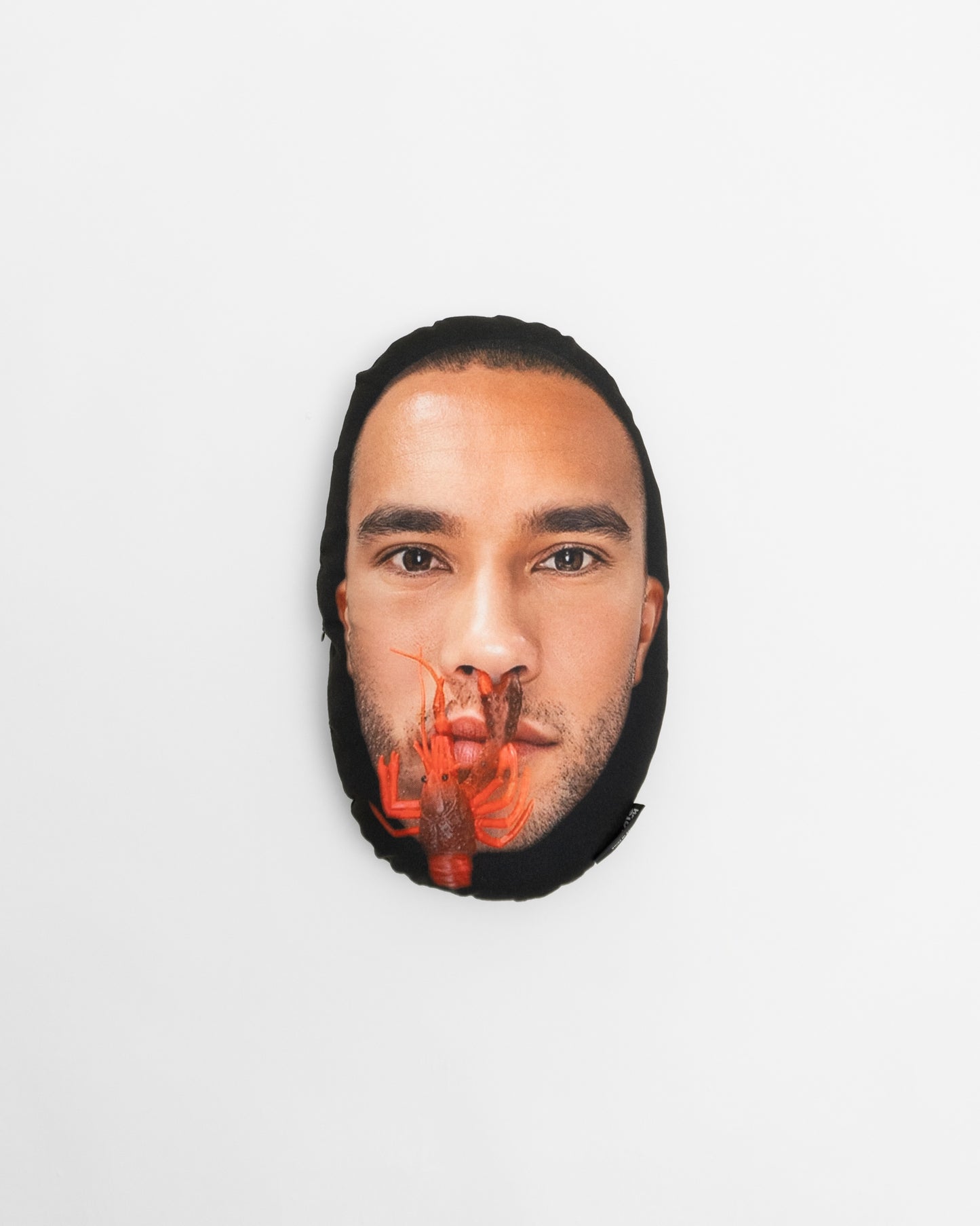 NISHIMOTO IS THE MOUTH KENNY KAGAMI Collaboration CUSHION